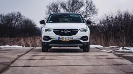 Opel Grandland X 1.2 Turbo - galeria redakcyjna - widok z przodu