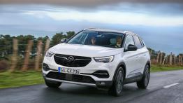 Opel Grandland X Ultimate (2018)  - widok z przodu