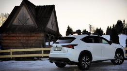 Lexus NX 300 - galeria redakcyjna (2)