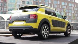 Citroen C4 Cactus - galeria redakcyjna - widok z tyłu