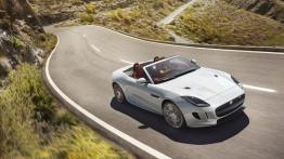 Jaguar F-Type Kabriolet 3.0 V6 S/C 340KM 250kW od 2012