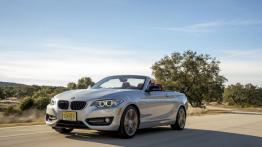 BMW 228i Cabrio (2015) - wersja amerykańska - widok z przodu