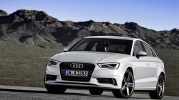 Audi A3 8V Limousine 2.0 TDI clean diesel 184KM 135kW 2014-2016