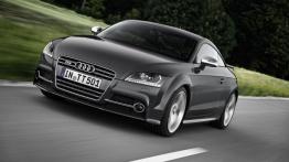 Audi TT 8N Coupe 3.2 V6 250KM 184kW 2003-2006