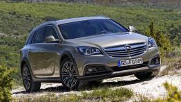 Opel Insignia I Country Tourer 1.6 CDTI EcoFLEX 120KM 88kW od 2015