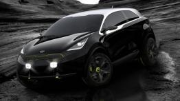 Kia Niro Concept (2013) - widok z przodu