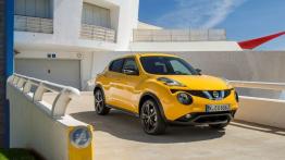 Nissan Juke I SUV Facelifting 1.6i 94KM 69kW 2014-2015