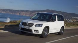 Skoda Yeti Minivan Facelifting 2.0 TDI 140KM 103kW 2013-2015