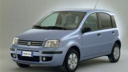 Fiat Panda II Van 1.3 Multijet 16v 75KM 55kW 2003-2012