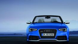 Audi A5 8T Cabrio Facelifting 2.0 TDI clean diesel 150KM 110kW 2014-2016