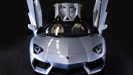 Lamborghini Aventador Roadster - widok z przodu