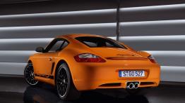 Porsche Cayman 987c Coupe 3.4 320KM 235kW 2009-2010