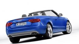 Audi A5 8T S5 Cabriolet 3.0 TFSI 333KM 245kW 2008-2016