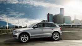 Audi Q5 I SUV 2.0 TFSI hybrid 211KM 155kW 2011-2012