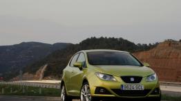 Seat Ibiza 2008 - widok z przodu