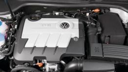 Volkswagen Golf VI Variant 1.2 TSI BlueMotion 105KM 77kW 2010-2013