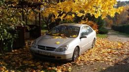 Citroen C5 I Hatchback 1.6 HDi 109KM 80kW 2001-2004