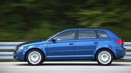 Audi A3 8P Hatchback 3d 1.6 102KM 75kW 2003-2010