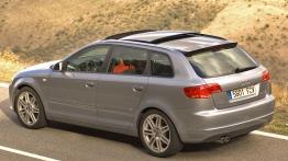 Audi A3 Sportback TDI 170KM - widok z tyłu