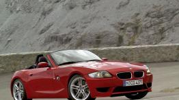 BMW Z4 E85 Cabrio 3.2 M 343KM 252kW 2006-2008