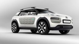 Citroen Cactus Concept (2013) - widok z przodu