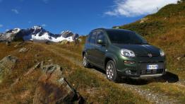 Fiat Panda III 4x4 - widok z przodu