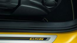 Volkswagen Beetle GSR - listwa progowa