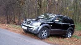 Kia Sorento 2.5 CRDi Executive Automat - lewy bok