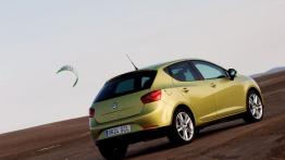 Seat Ibiza 2008 - widok z tyłu