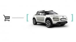 Citroen Cactus Concept (2013) - widok z przodu