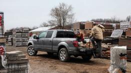 Ford F-150 - model 2012 - widok z tyłu