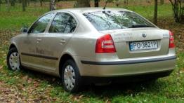 Skoda Octavia II 1.6 Ambiente - galeria redakcyjna - widok z tyłu