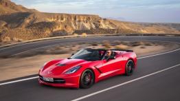 Chevrolet Corvette C7 Stingray Cabrio (2014) - wersja europejska - lewy bok