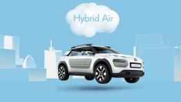 Citroen Cactus Concept (2013) - widok z przodu