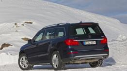 Mercedes GL 500 (X166) 4MATIC - widok z tyłu