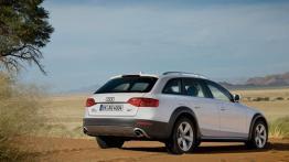 Audi A4 Allroad - widok z tyłu