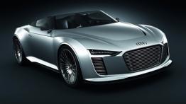 Audi E-Tron Spyder - widok z przodu