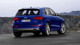 Audi SQ5 TDI - widok z tyłu