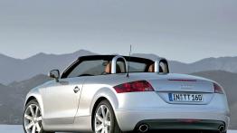 Audi TT 2007 Roadster - widok z tyłu