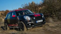 MINI Countryman off-road - prawy bok