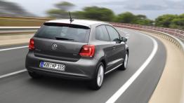 Volkswagen Polo V Hatchback 3d - widok z tyłu