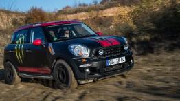 MINI Countryman off-road - prawy bok