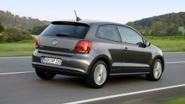 Volkswagen Polo V Hatchback 3d - widok z tyłu