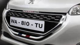 Peugeot 208 GTi - grill