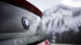 BMW Zagato Coupe Concept - emblemat