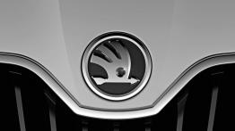 Skoda VisionD Concept - logo