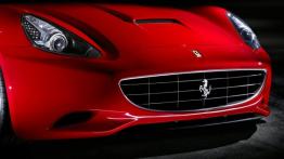 Ferrari California - grill