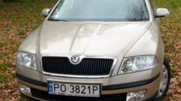 Skoda Octavia II 1.6 Ambiente - galeria redakcyjna - widok z przodu