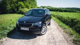 Skoda Karoq - galeria redakcyjna (1) - inne zdj?cie