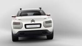 Citroen Cactus Concept (2013) - widok z przodu